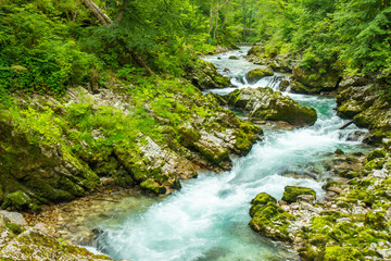 The Vintgar Gorge or Bled Gorge is a walk along gorge in northwestern Slovenia.