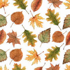 Watercolor Seamless pattern with maple leaf, oak leaves and other forest leaves and branches.Beautiful autumn background in green, yellow and brawn colors.