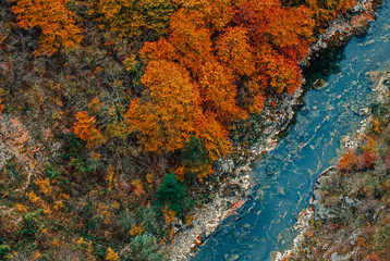 Blue mountain river in the canyon surrounded by the autumn forest, aerial view