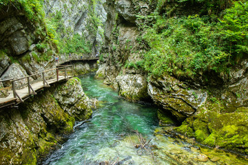 The Vintgar Gorge or Bled Gorge is a walk along gorge in northwestern Slovenia.