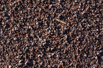  sand and gravel path