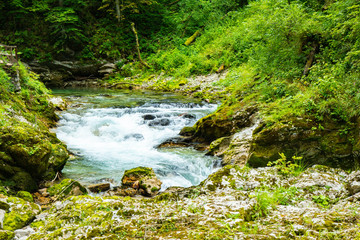 Fototapeta na wymiar The Vintgar Gorge or Bled Gorge is a walk along gorge in northwestern Slovenia.