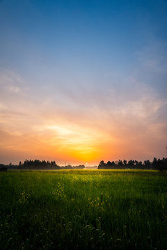 sunset over green field
