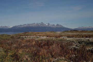 Patagonia 