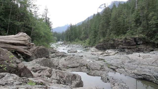 River in Vancouver Island Steady shot of River in Vancouver Island
