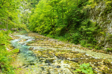 The Vintgar Gorge or Bled Gorge is a walk along gorge in northwestern Slovenia.