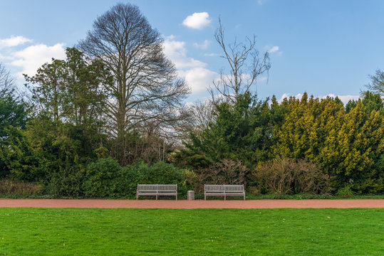 Side view of grass field, pathway, empty vacant two wooden benches, spring background of tree, bush and shrub, and blue sky background. Horizontal parallel sunny scene of park without people.