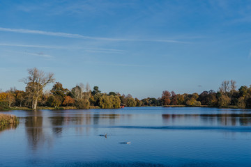 Beautiful autumn garden with tree reflections in water, blue sky. Hever Castle Gardens, Kent, England.