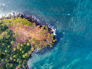 Aerial view of coconut trees at seaside the morning,Sri lanka
