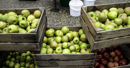 Apples in boxes