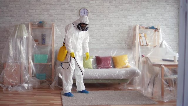 Exterminator cleans the carpet with a spray