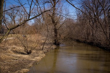 North branch of the Chicago River in early spring
