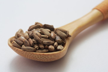 (Herb) image of milk thistle