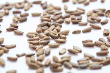 (Herb) image of milk thistle