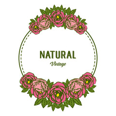 Vector illustration lettering of natural vintage with pattern art frames flower roses