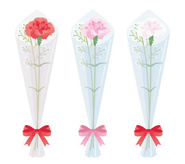 カーネーション　3色