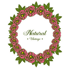 Vector illustration writing natural vintage with decor rose wreath frames