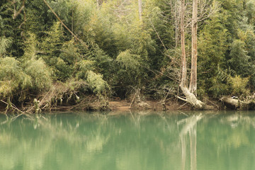 Reflections of the Shore