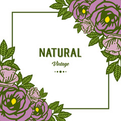 Vector illustration decorative of natural vintage with purple rose flower frame