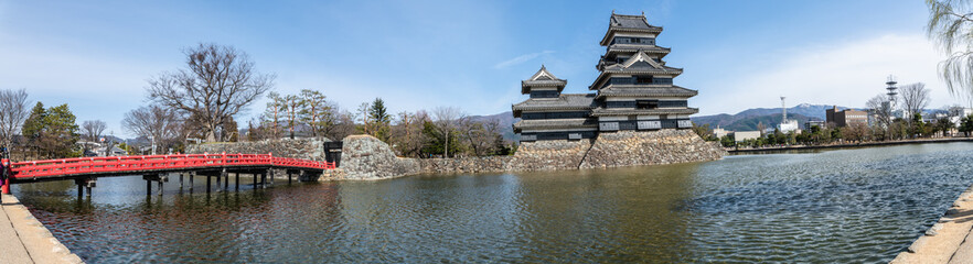 雄大なアルプスと青い空と天守
