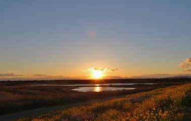 夕景　渡良瀬　春　杤木