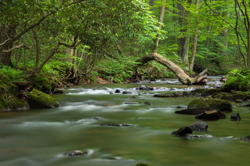 Flowing mountain stream 
