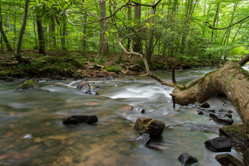 Cascade in stream, motion in water. 