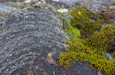 Iceland and amazing icelandic nature and landscapes