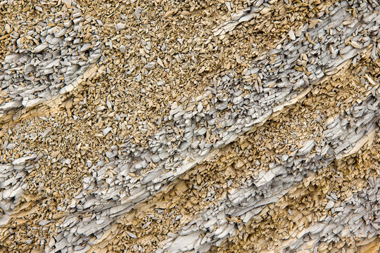 Fine marlstones and claystones