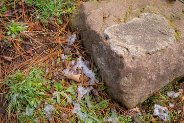 Signs of spring are seen while the evidence of a winter snow remains on the ground