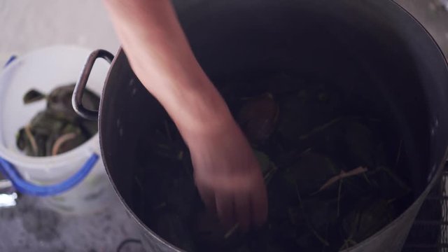 Cooking tamales