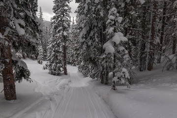 Wintry trail in Rocky Mountain National Park, Colorado