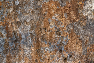 Background texture of old painted wall for mockup or design pattern in construction, food or industrial flat layer of sample pattern layout