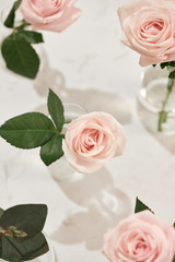 Beautiful rose flowers in vase on pink background. Greeting card for Womens day or Mothers day.