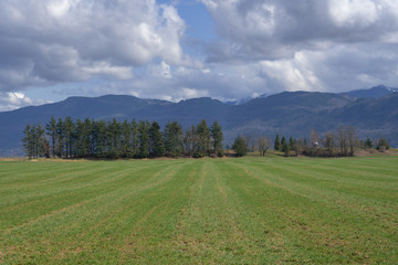 Farmland in Abbotsford, British Columbia