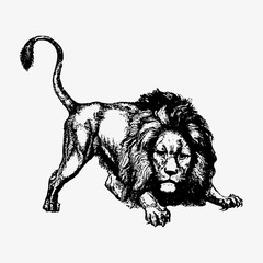 Launching lion vintage drawing © Rawpixel.com