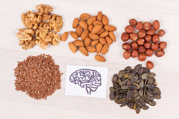 Drawing of brain and healthy food for power and good memory, nutritious eating containing vitamins and minerals