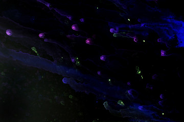 blue Abstract background on a black background. photo