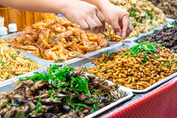 Selective focus at hand selecting fried Silk worm from various fried insect on a tray at street food market