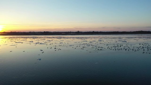 Canda gooses and ice in St-Laurence river at sunset