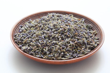 (Herb) image of lavender