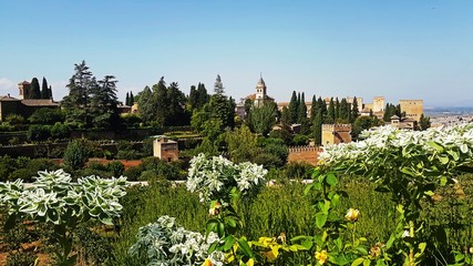 Fototapeta na wymiar The Alhambra, Granada, Spain