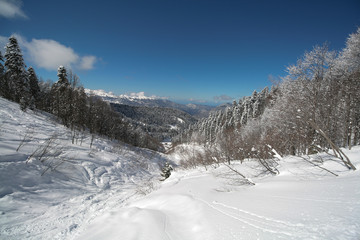 Fototapeta na wymiar The snow-capped Caucasus mountains, Sochi, Russia.