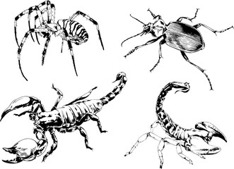 vector drawings sketches different insects bugs Scorpions spiders drawn in ink by hand , objects with no background	