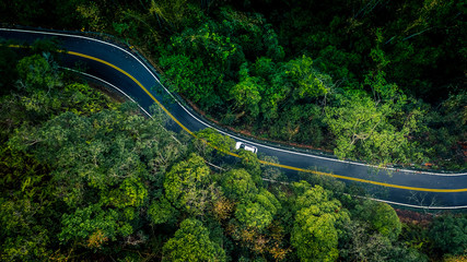 Car in rural asphalt road in deep rain forest with green tree forest, Aerial view car in the forest view from above background.  © Kalyakan