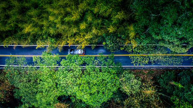 Car in rural road in deep rain forest with green tree forest, Aerial view car in the forest.