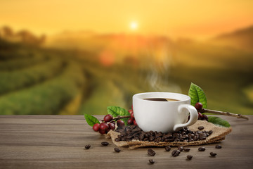 Hot coffee cup with fresh organic red coffee beans and coffee roasts on the wooden table and the black background with copyspace for your text.