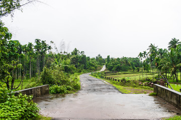green landscapes village side