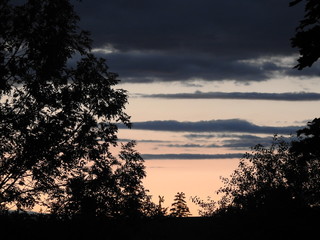 Orange Blue Sunset Near Dusk With Forest in Foreground