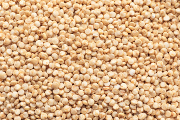 White quinoa background